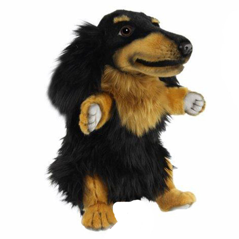  Juguete de marionetas para perros