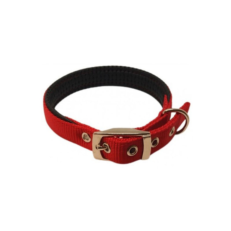 Collar acolchado de nylon (rojo)