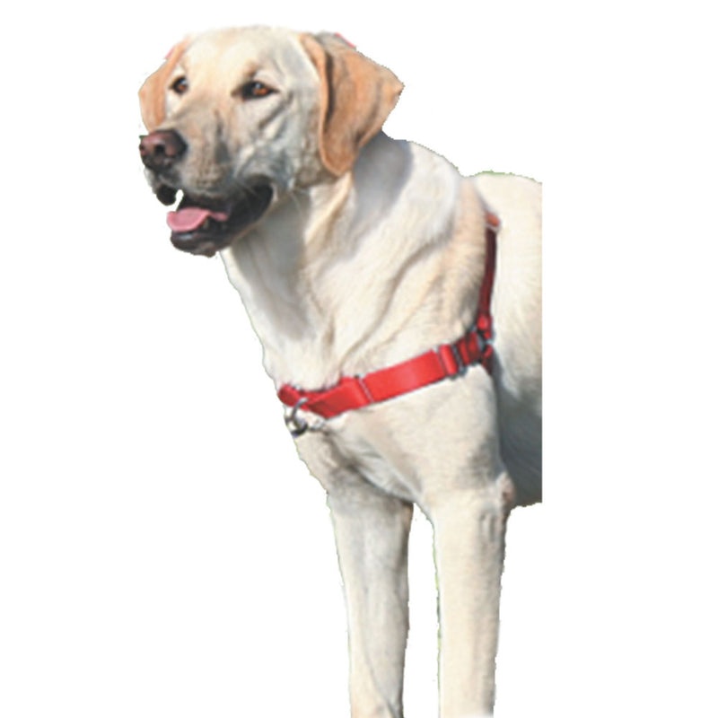 Gentle Leasder Easy Walk Harness de perros