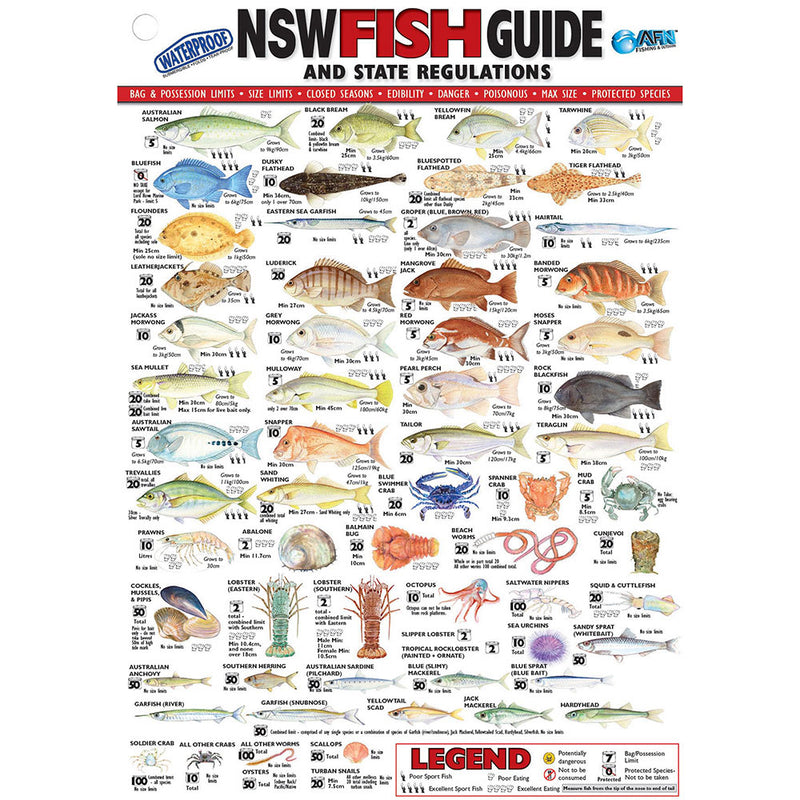  Tarjeta de identificación de peces de vinilo