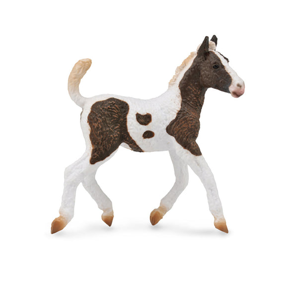 CollectA Curly Foal Figure (Medium)