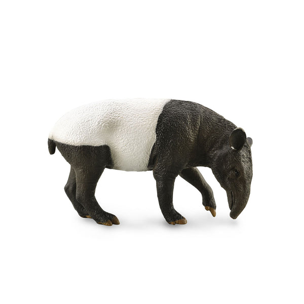 CollectA Malayan Tapir Figure (Large)