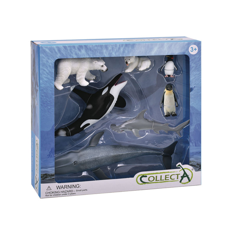  Set de regalo con figuras de animales de CollectA Sea Life