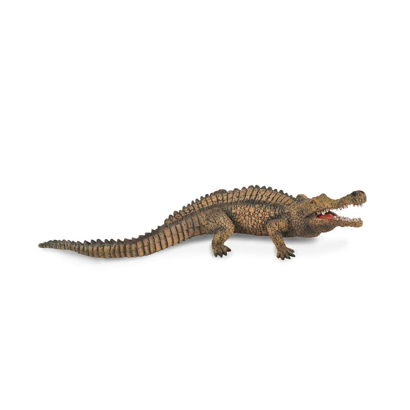 CollectA Sarcosuchus Figure (Extra Large)