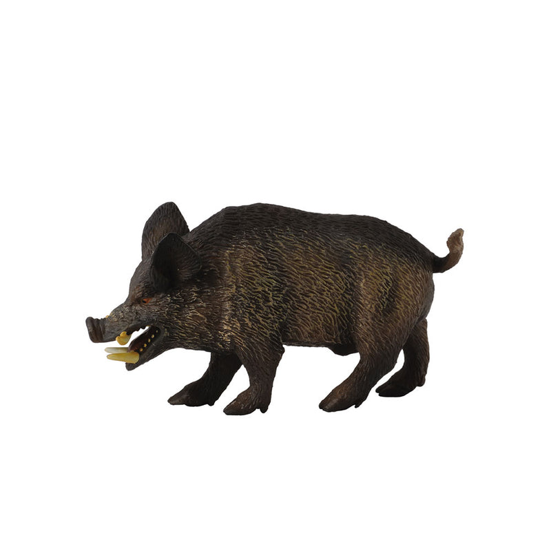  Figura CollectA Wild Pig (mediana)