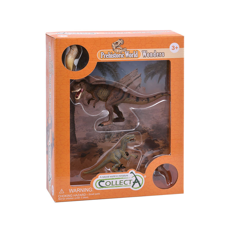  Set de regalo CollectA Dinosaur Wonders