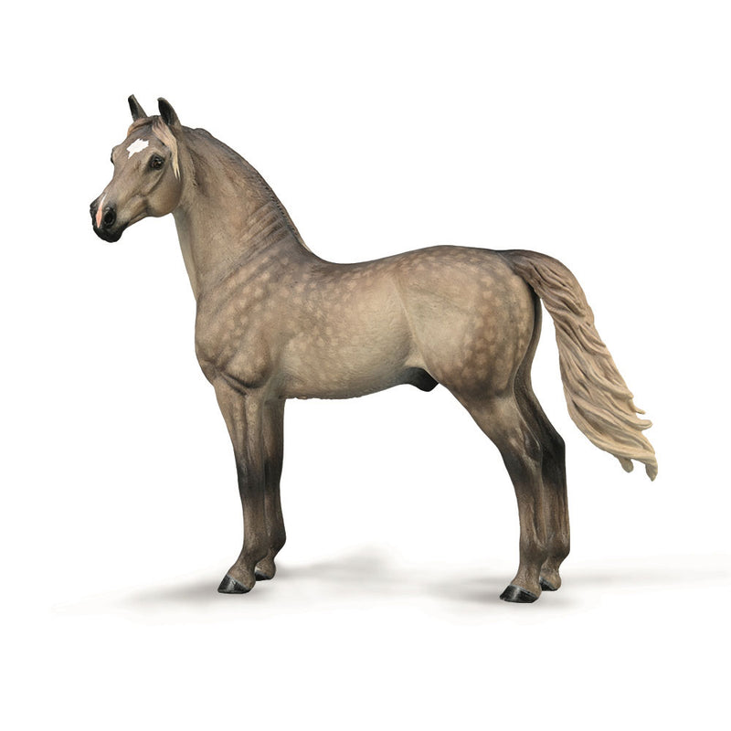  Figura CollectA Morgan Stallion (extra grande)