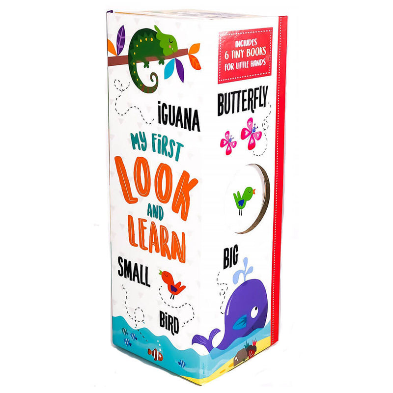 My First Look & Learn Early Learning Book