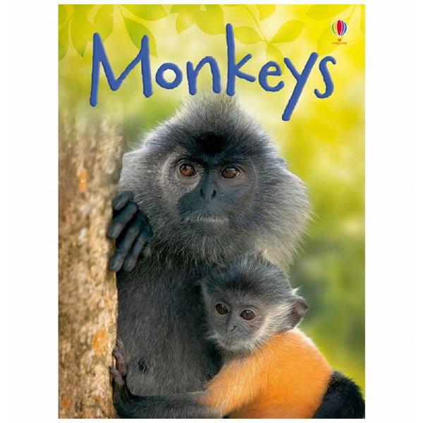 Monkeys Picture Book