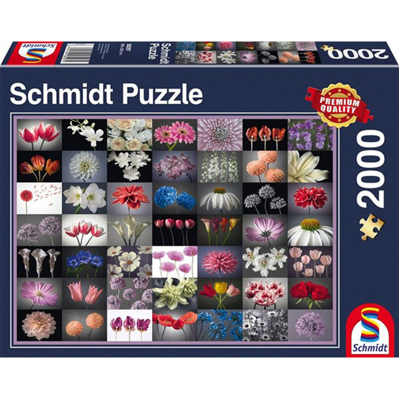  Puzzle Schmidt 2000pzs