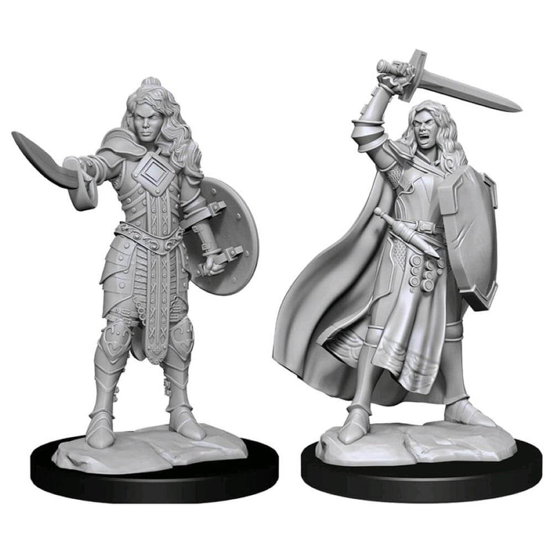 Pathfinder Deep Cuts Miniatures: Human Champion Female