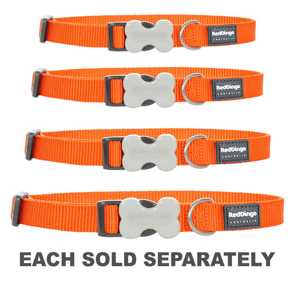 Classic Dog Collar (Orange)