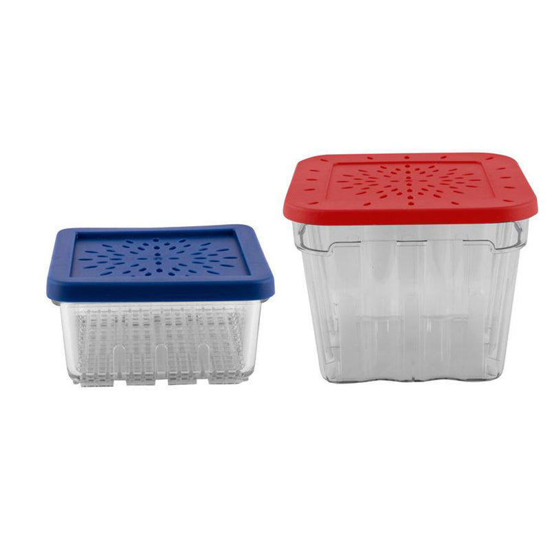 Avanti Berry Baskets (Set of 2)