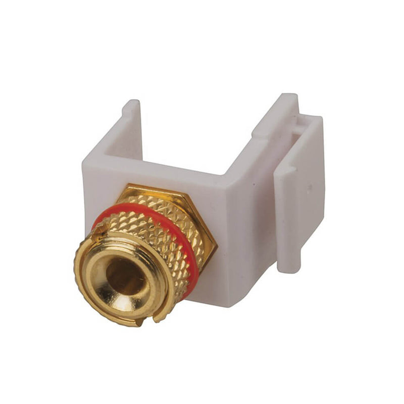  Conector tipo banana con inserción Keystone (dorado)