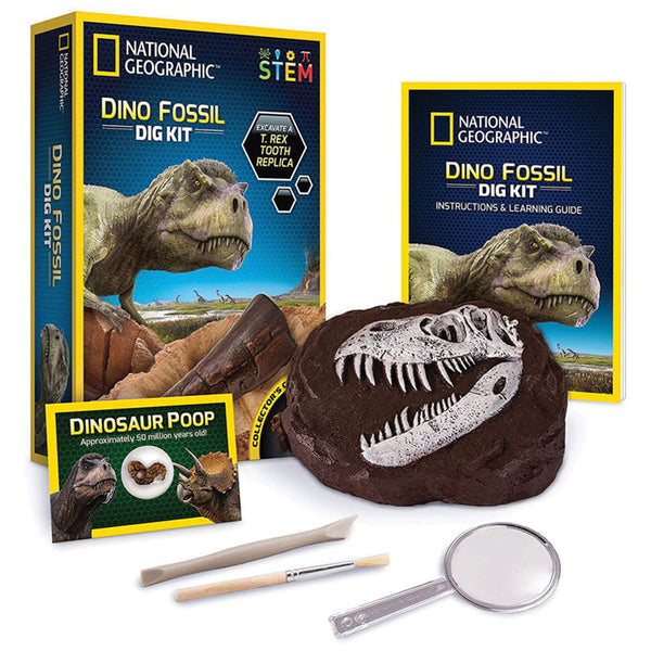 Dinosaur Dig Kit