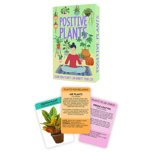 Gift Republic Positive Plants Cards